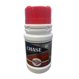 Chase
