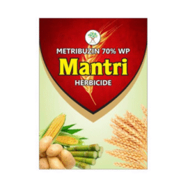 Mantri