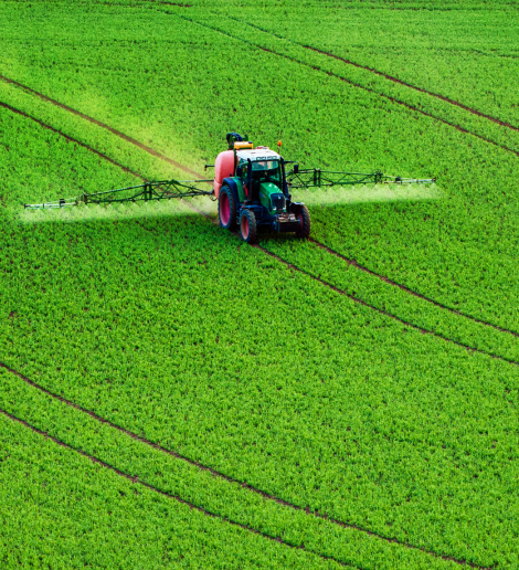 Untitled design - 2025-08-13T182517.254