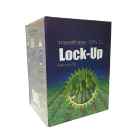 Lockup